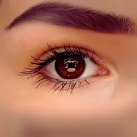 Top Rated Tours Image